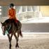 Dressage Spooktacular!